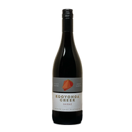 Shiraz 2015